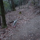 伝猿馬場