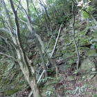 石垣