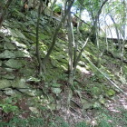石垣