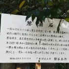 えっえええー。