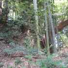 削平地・切岸