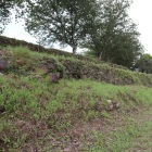 本丸西下段南側の石垣