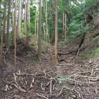主郭北東側の竪堀状
