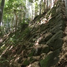 秀次居館の竹藪の中の石垣