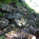 本丸西斜面の石垣