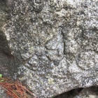本丸北側の枡形虎口の刻印石