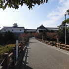 入口