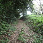 登城路
