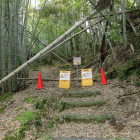 通行禁止