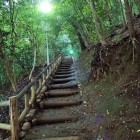 遊歩道