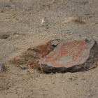 本丸御殿跡の南から出土した軒瓦の破片