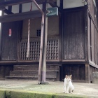 東明寺