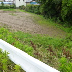 曲輪跡・・・(怪)