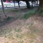 浮気城東側土塁(北側より2)