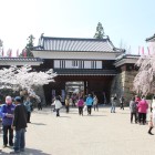 人で賑わう本丸東虎口櫓門、櫓群