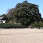 南側田圃より本曲輪を望む