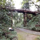 本丸への木橋
