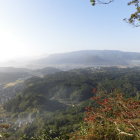 展望台眺望