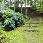登城路