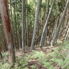 急斜面