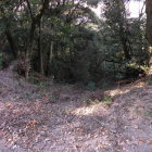 白米流し跡