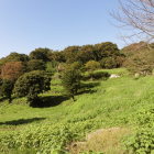 城址風景(竪堀跡？）