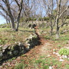 登城路上の石垣