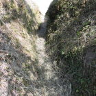 頂上への道