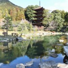 瑠璃光寺五重塔