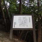 古井戸