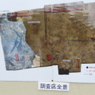 調査区全景の写真