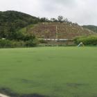 平井中央公園（平井平）