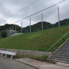 平井中央公園を見上げる