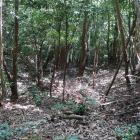 番所跡の二重の竪堀