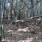 北の曲輪
