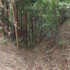 竪堀A