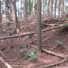 西土塁