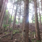 遠景