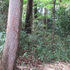 Ⅱ郭北部窪み