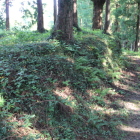 同左から南の熊野神社虎口土塁