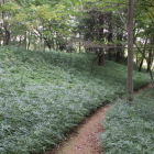 館跡東側の堀切