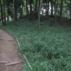 同左、北東角の土塁