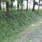 同左南横の土塁と堀