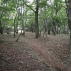 伝三の丸