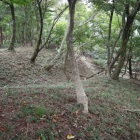 主郭西側の竪掘