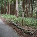 弾正屋敷跡
