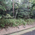 城跡中心部は森に