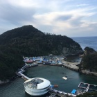 お茶ケ崎展望台から