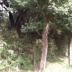 高い土塁