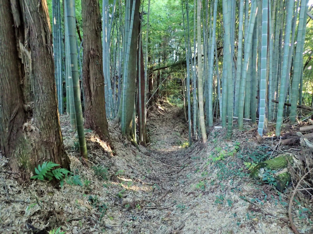 [徳宿城] 城びと